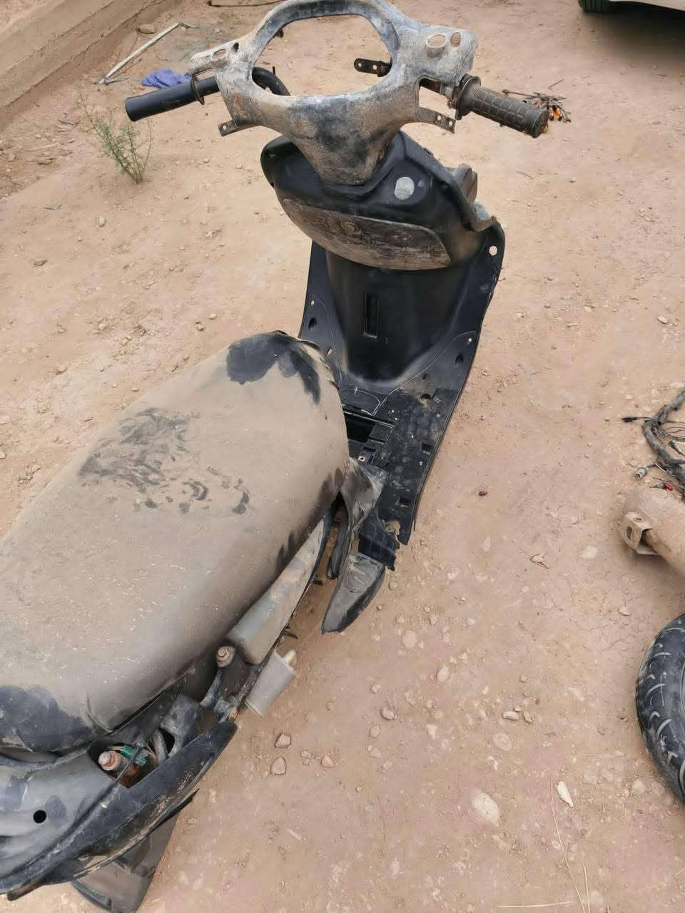 شاصي وغراض دولفين للبيع مكانة الشاميه قيم واخذ
واتساب ***********
