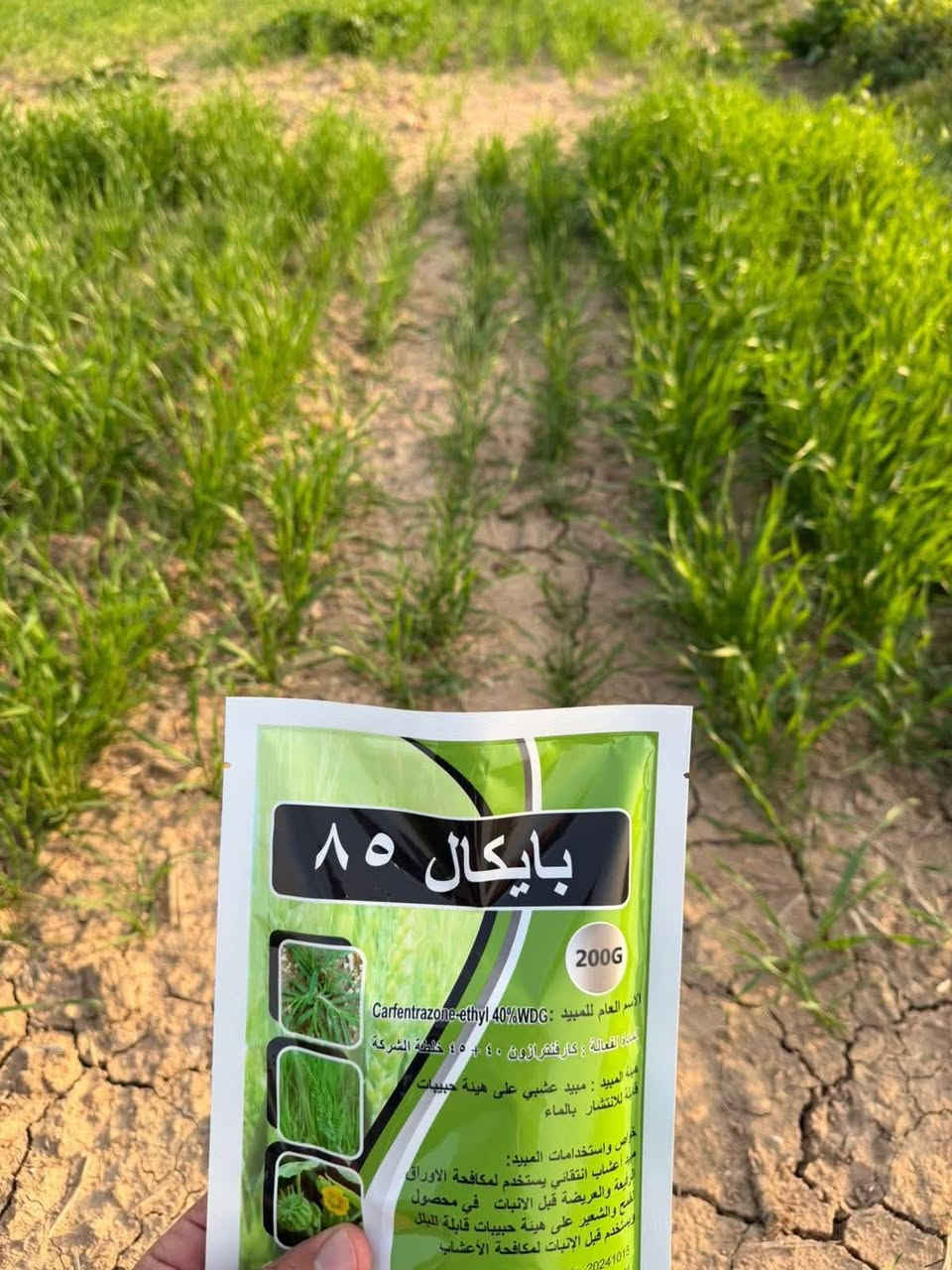 مبيد بايكال • آمن على الحنطة • مكافحة الحشائش