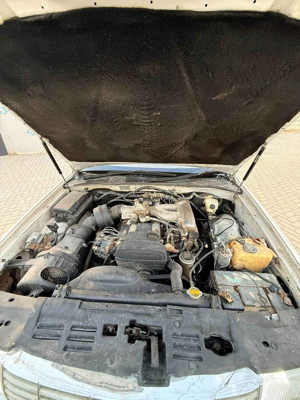 بطه ١٩٩٣ • رقم نجف • دواخل جديدة