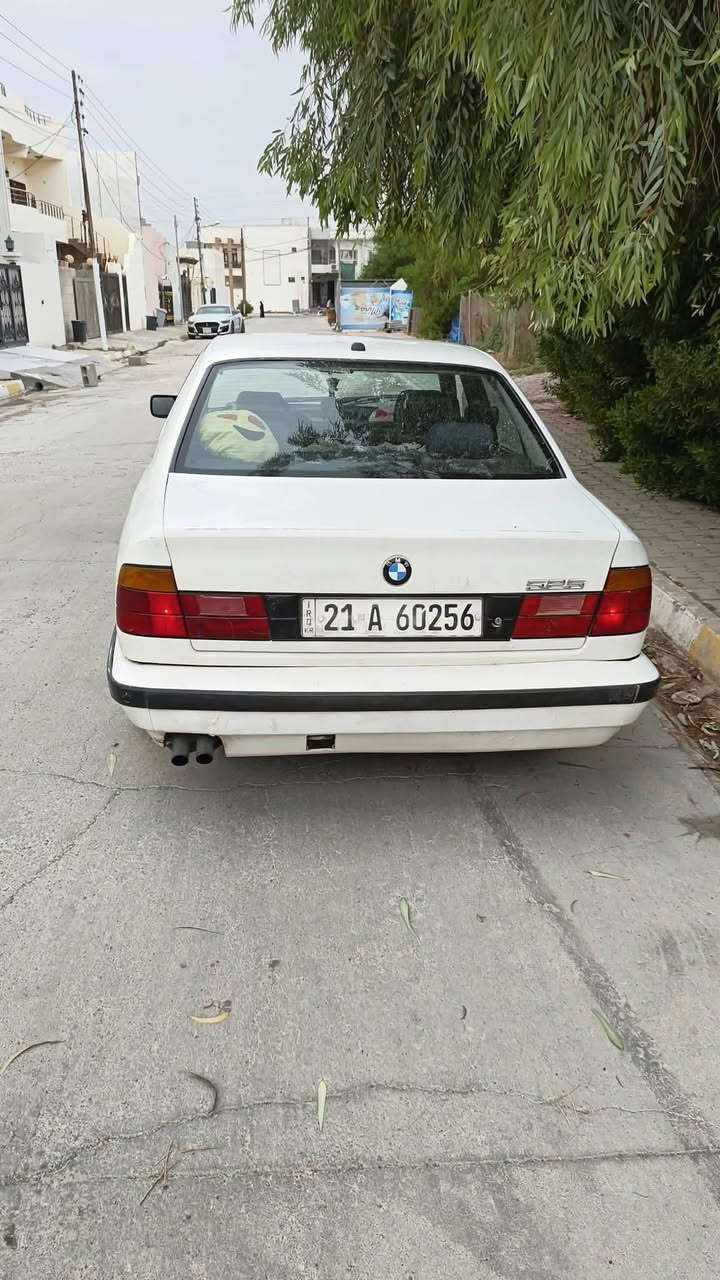 بي ام ٥٢٥ • فول فول • صبغ بلادي