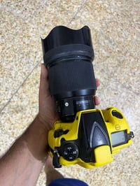 نيكون D810 • عدسة 85 سيغما • بابل-حله