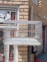 قفص ابو طيره • حجم كبير • جديد