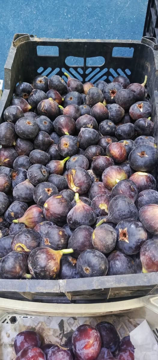 تين الصويره • واسط الصويره • توصيل