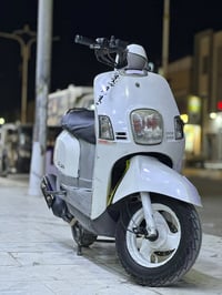 بوليس نوزل • ٢٠٠٩ • مراوس