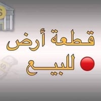 طابو صرف • السياسيين • ١٢٥م