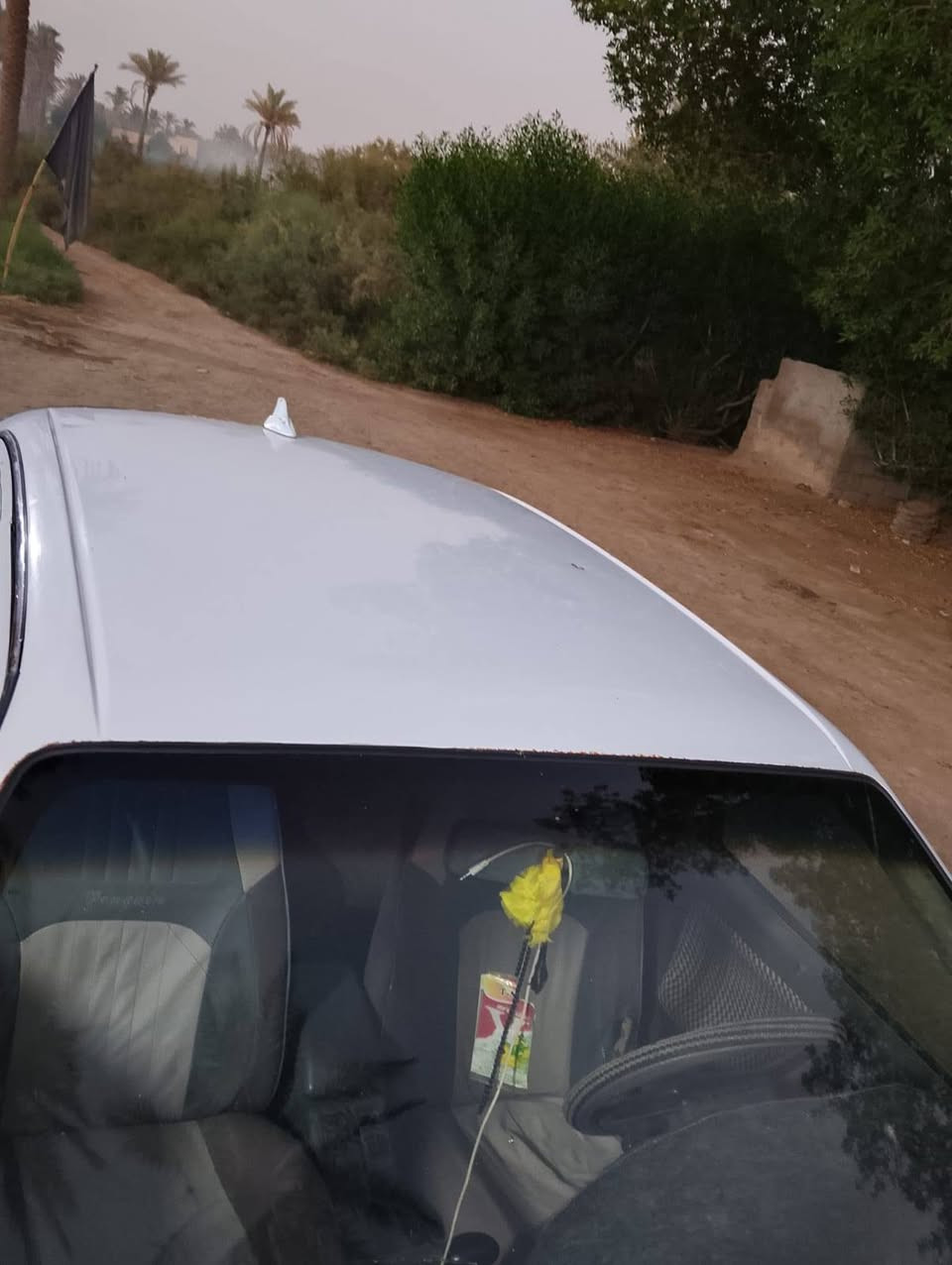 سلام عليكم من رخصت الادمن دايو برنس موديل 95 سياره جاهزة مكينه وكير جدد تخم تاير جديد كهربائيات كلهة شغاله رقم بغداد مداور شوكت ماتريد المكان ديوانيه غماس السعر 26 الرقم ***********
