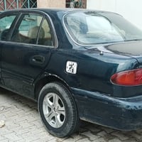 سوناتا 2 • ١٩٩٥ • ديالى