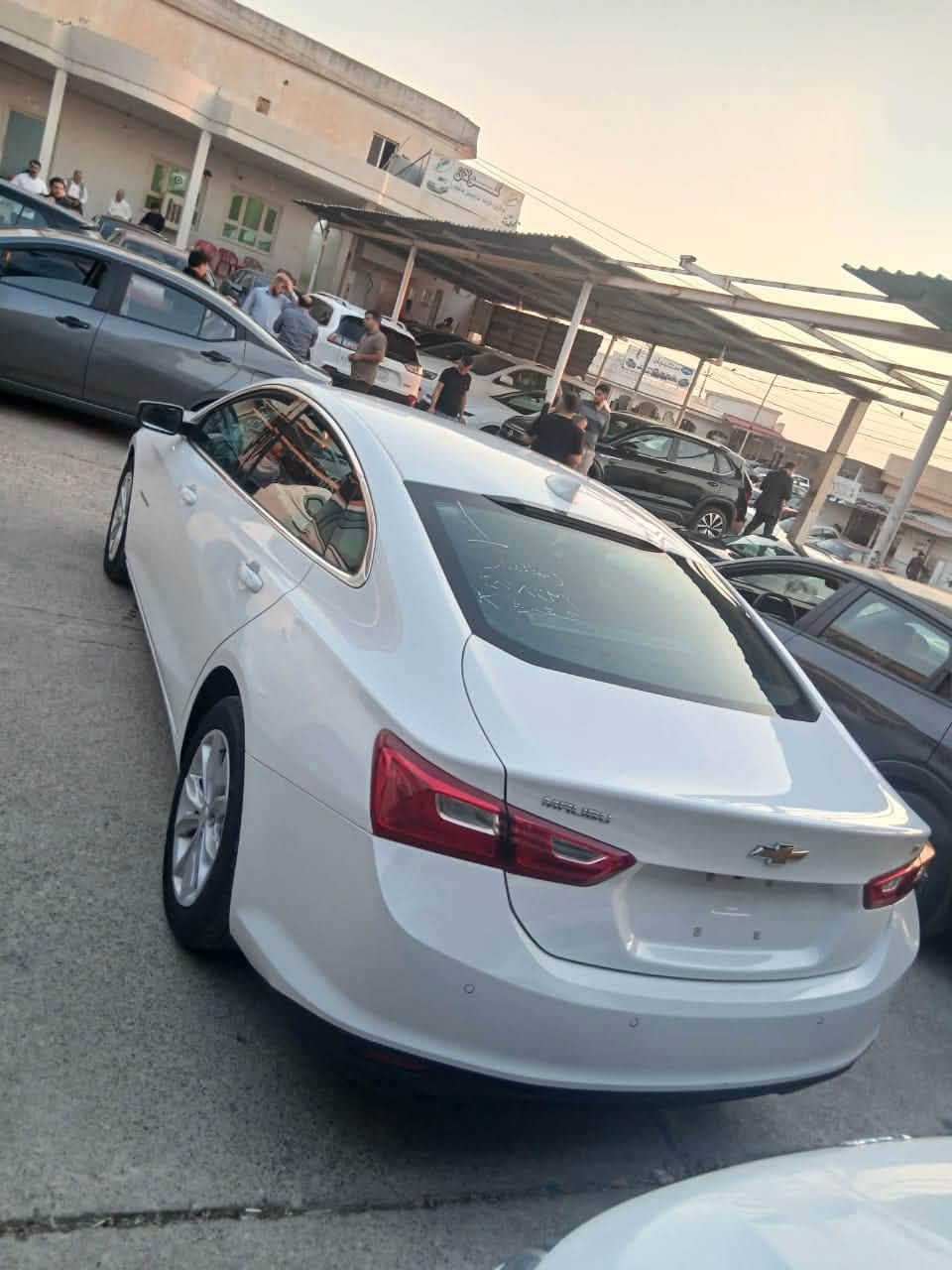 ماليبو 2024 • فئة LT • واتساب