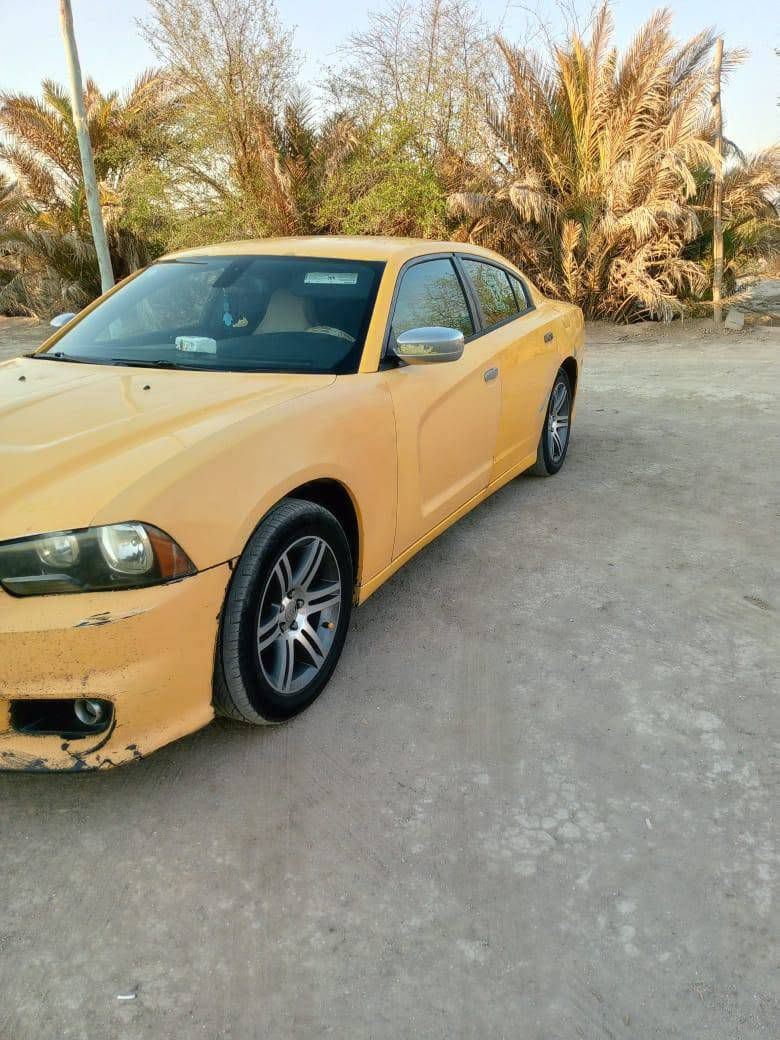 جاجر خليجي 2012
ايرباك ما طاک طخته خشم جاملغ الامامي وطخه حوض السبير خفيفه وخدوش بيه بصيطات واضحات بصوره ما مبدل بيه شي ما عده تقسيم ترهم مراوس سياره اصغر او بيع  رقم التلفون ***********
