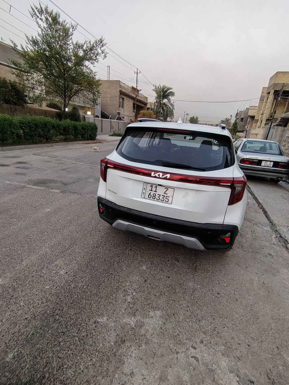 سلتوس للبيع موديل 25 فول السعر 175 ورقه بي مجال السياره مكفوله كفاله عامه *********** ماشيه 14000
