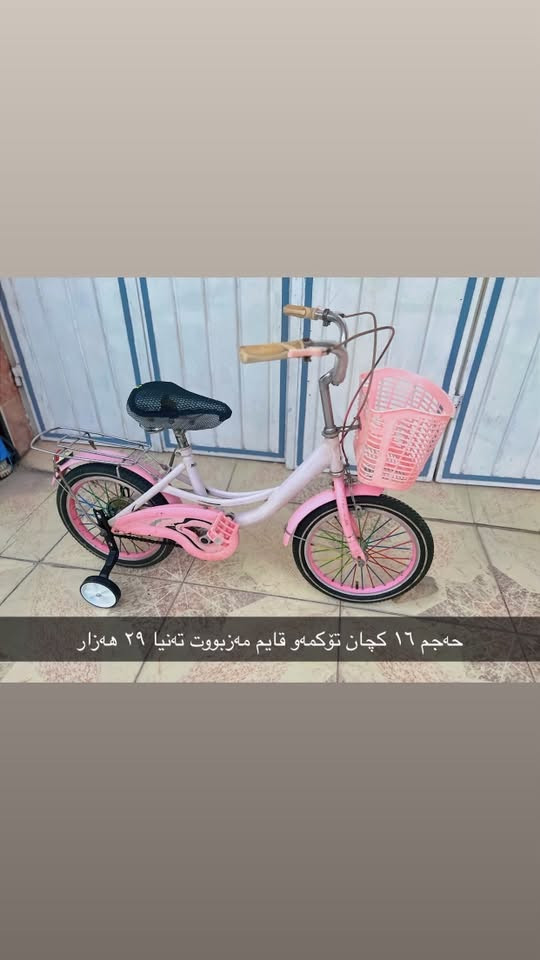 بسكليت • حجم 20/12/16 • كةلار