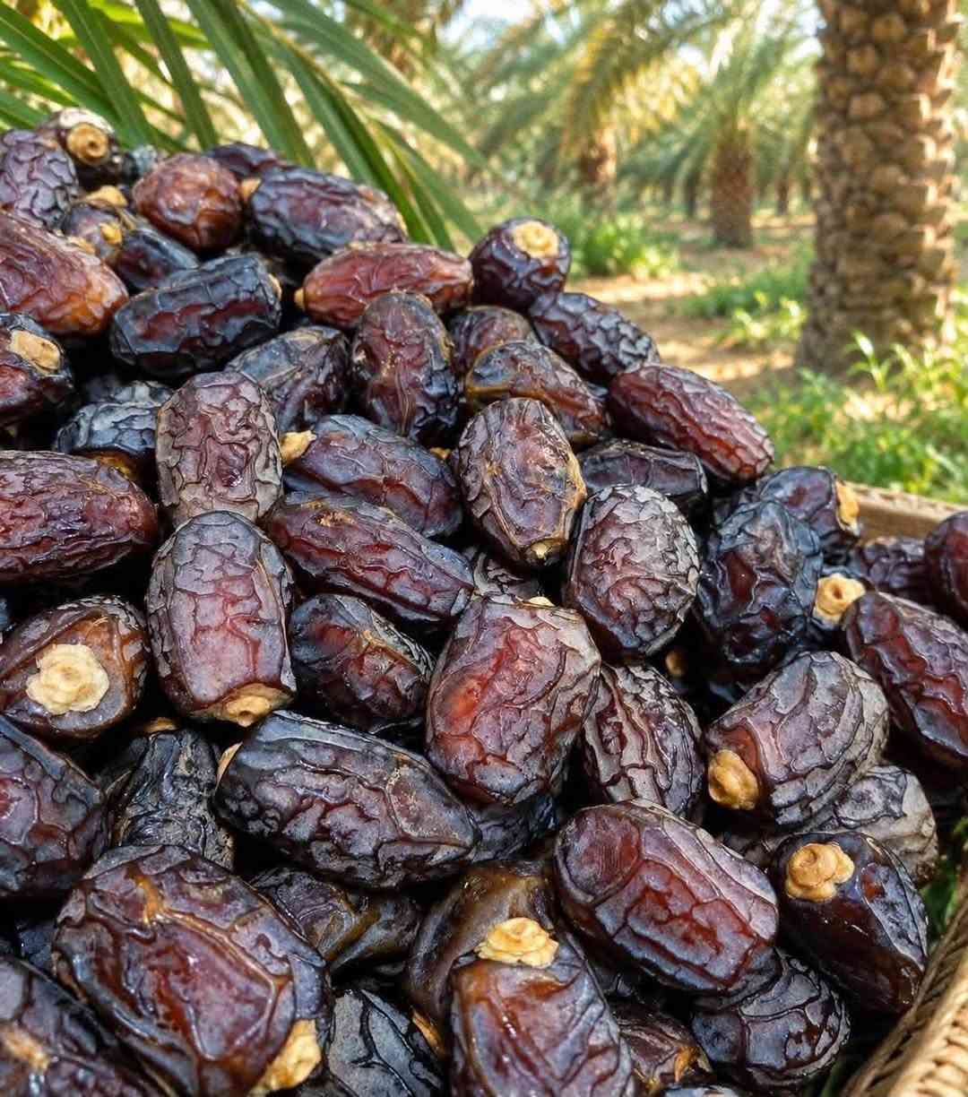 تمرة • فاخر • ٢ ونص كيلو