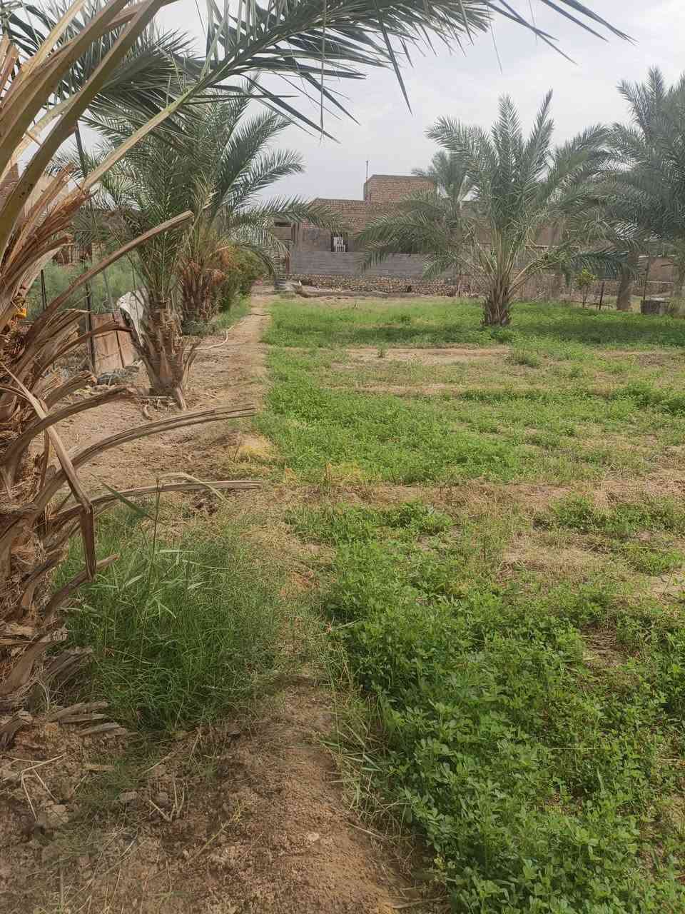 بيت للبيع • حديقة كبيرة • ١٥٠٠م