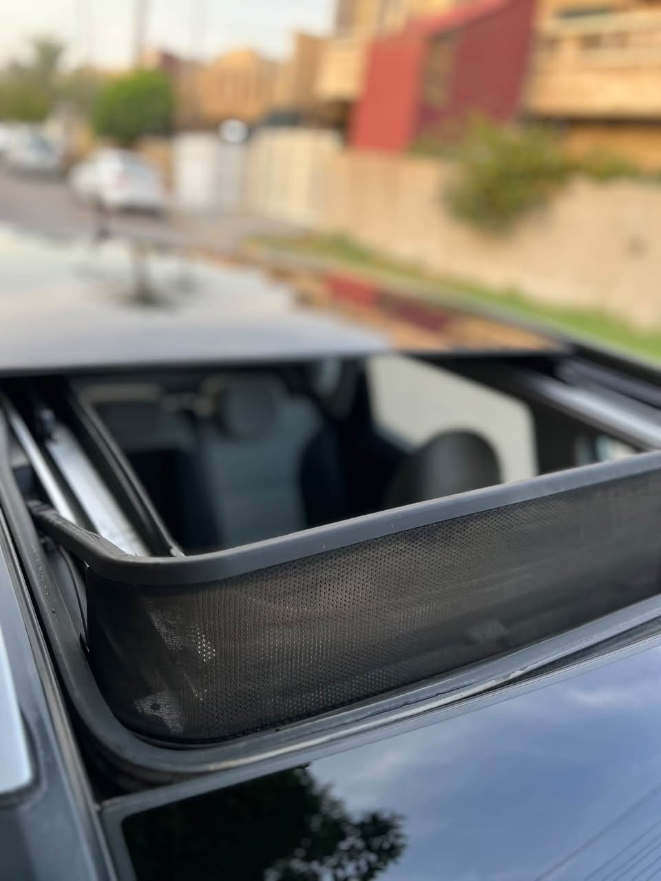 فول ١/١ • ٢٠١٦ • بدون صبغ