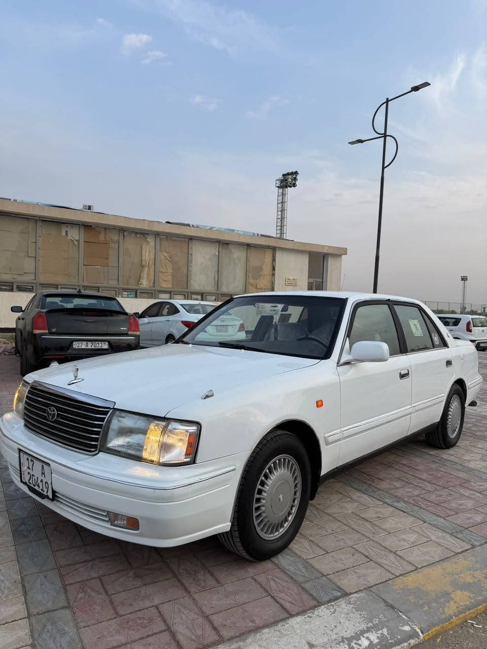 راس ثور • سعودي • دواخل كارتون