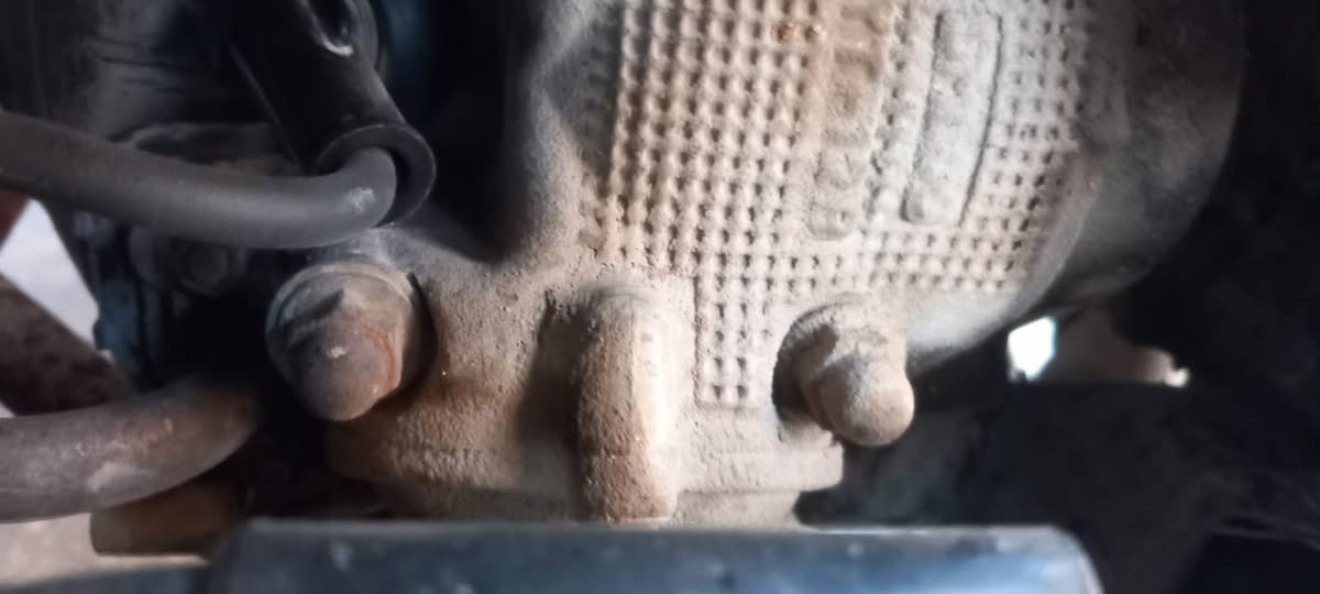 سكنز • مامفتوحه • ضفيره تعبانه