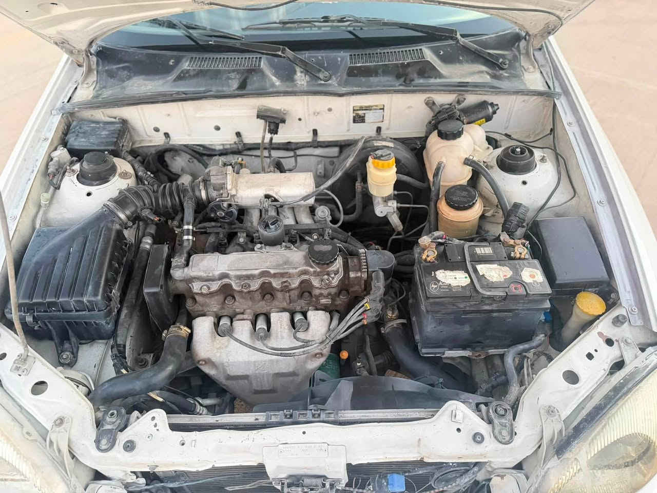 نرخەکەی (25)$گەڵاو ماجالێکەم
ئاڕمی پلاستیکی هەولێر
داوێ لانۆس دژە فیتەر.!
تەبرید لەسەر سویچ❄️
ناو داخلی لۆک لۆک
هەر 4بەرگە درگای لۆک
زبری داژبڵی ماوە
لە سەنی خۆشتر نەبو نەتەوێ
مەکینە ١٦ فەل بەخ🔥

4تایەو ویلی لۆک لۆک
بێدەعمو بێ لێدراوی 
پێشو دواو شانو سەقفو ژێری نوکە دەرزێ پێوە نیە

قرچی بەسیتیشی نیە
دەعامی بۆ دەعامی بەشەرت
١ هەزار مەسرەفی تیا نیە

ئاڕمو ئەوەلیاتو موسو بڕاوەو وەرگەڕاو بەشەرت✨
مەکینەو گێڕی بەشەرتی هەزار فیتەر

بەو شەرتەی بەقەی ماتۆڕێک بەنزین نەخوات!
کارەبای هەمو گیانی بەشەرت
گێچی بەنزینو حەماوەو گلۆپی ناو گێچو لایتی بەرزو نزمو فولو ئیشارەتو ساردە گەرمو هەمو گیانی لەسەر شەریکە
بڕێک ئیستۆپ کلاج سوکان پاوەر بەشەرت
سوکانی بە 1پەنجە بیسوڕێنە
سەرو ژێری بەشەرت
لە سلێمانیم بۆ زانیاری زیاتر 
***********

تێبینی.! لە رەقەمەکەی پێشەوە هەتا رەقەمەکی دواوە بەسەرو ژێرەوە بەشەرت
