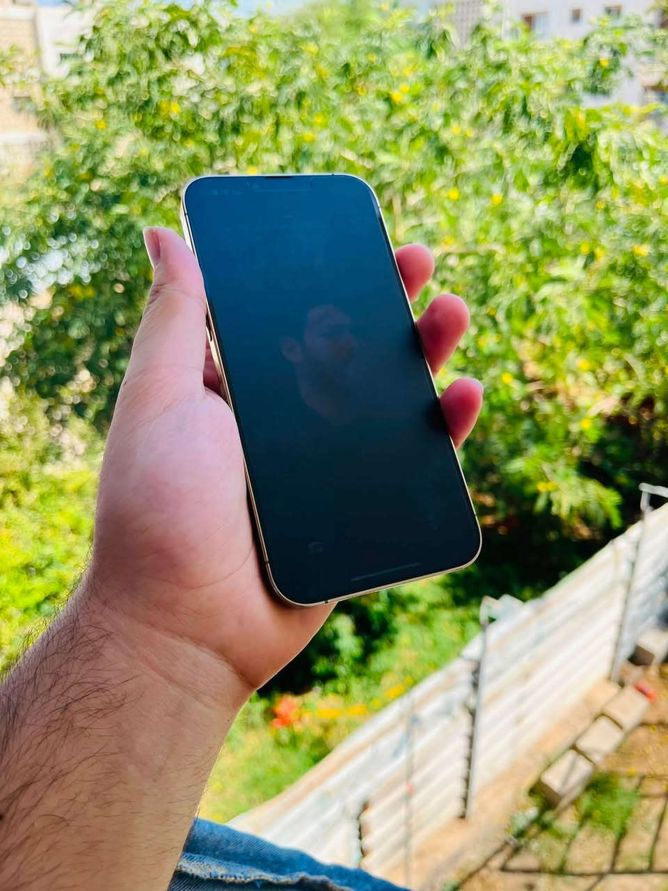 السلام عليكم من رخصة الادمن
متوووفر للبيع
              
📱ايفون 13 برو ماكس 
💛 لون ذهبي 
💾 ذاكرة 256
🔋 نسبه البطارية 75
📞 تك سيم
فول نضافه شرط مامفتوح ولا بي شخط فول نضافه ( ملاحضه جهاز عربي ماستر A/AA)

الشراي يتفضل خاص لو تصل ويدلل محضور من تعاليق
‏ ***********
