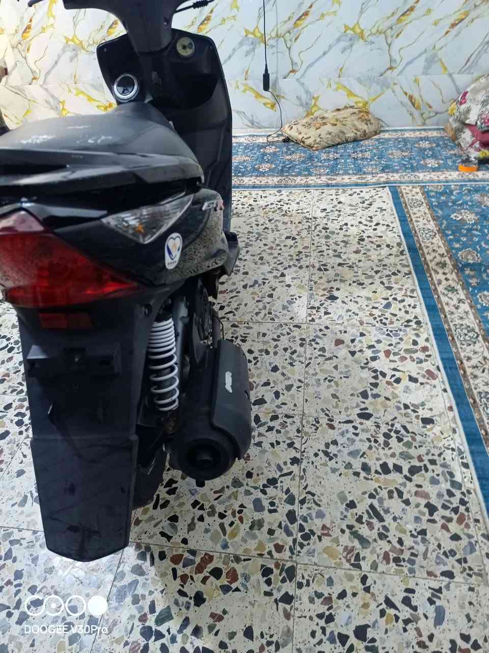 ثعلب • كفالة • ١٧٠٠٠