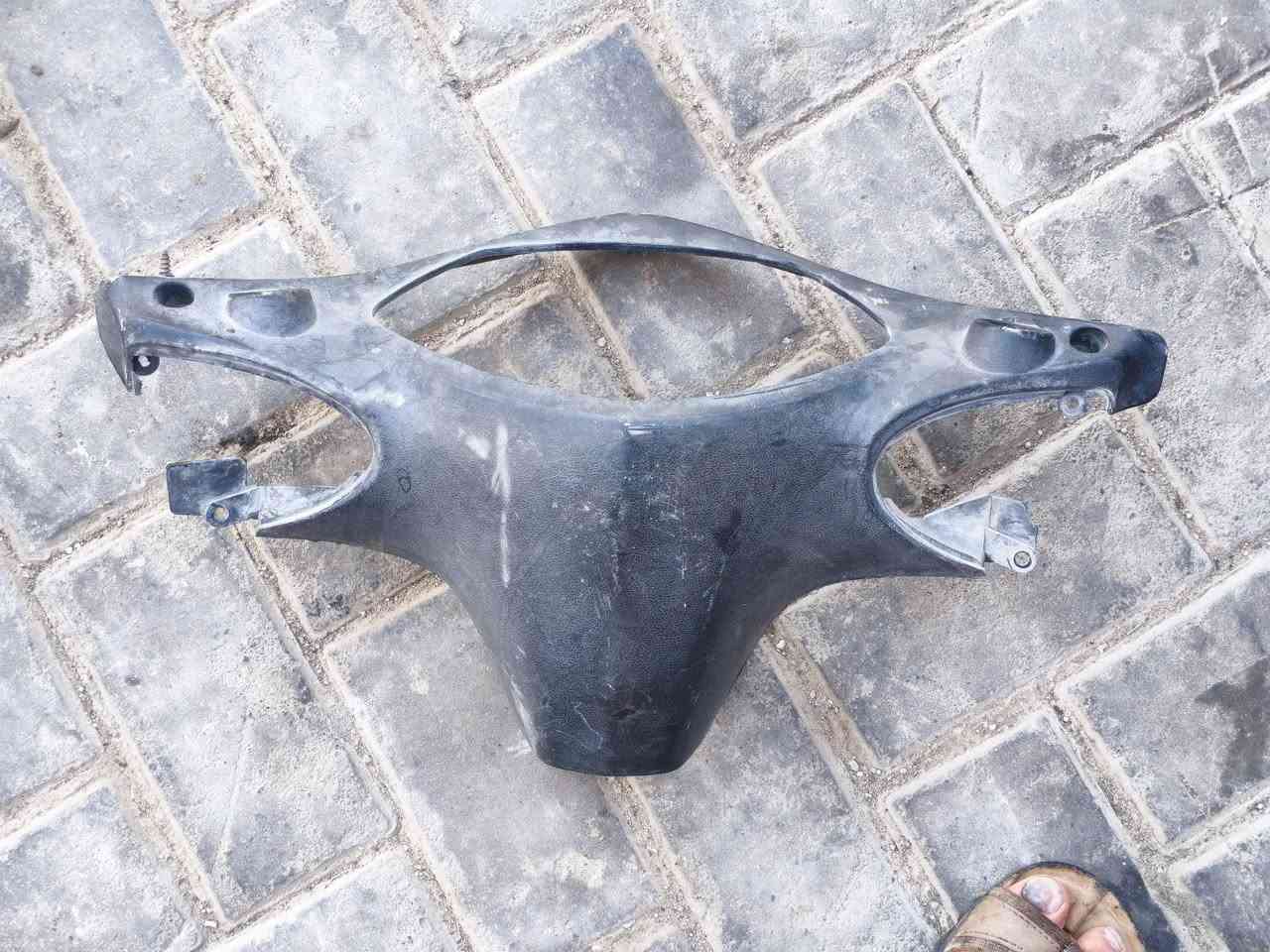 تخم كامل • سكنس • فحل