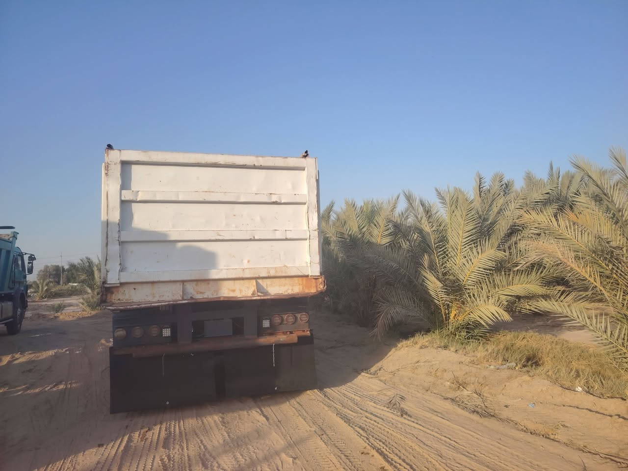 السلام عليكم عربانه للبيع***********
