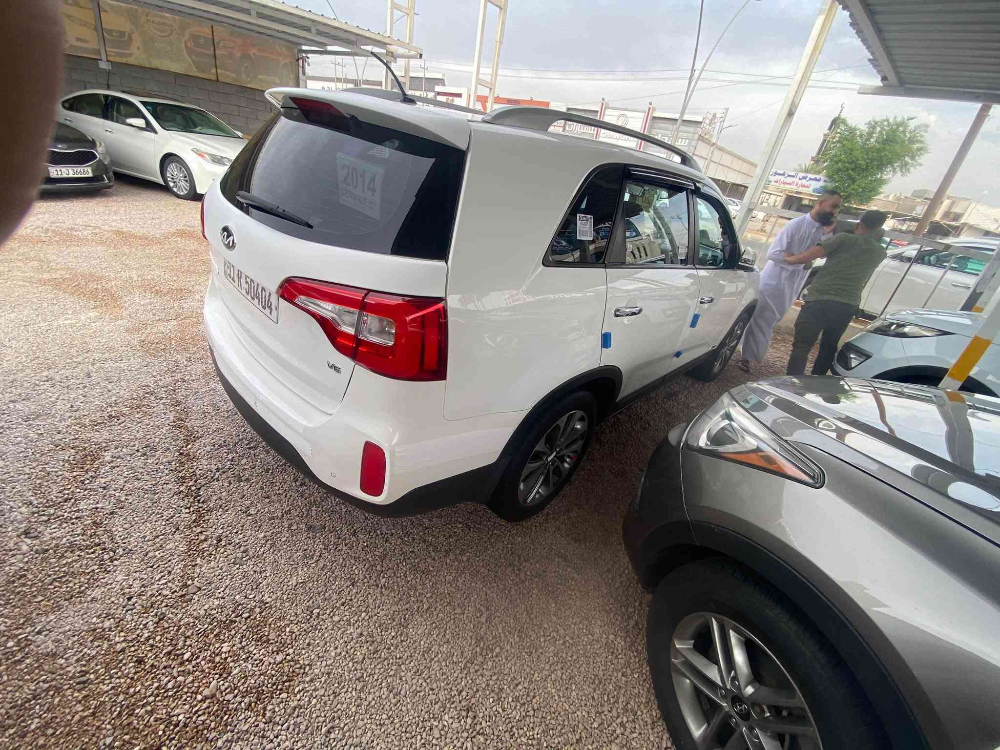 سورنتو • ٢٠١٤ • رقم بغداد