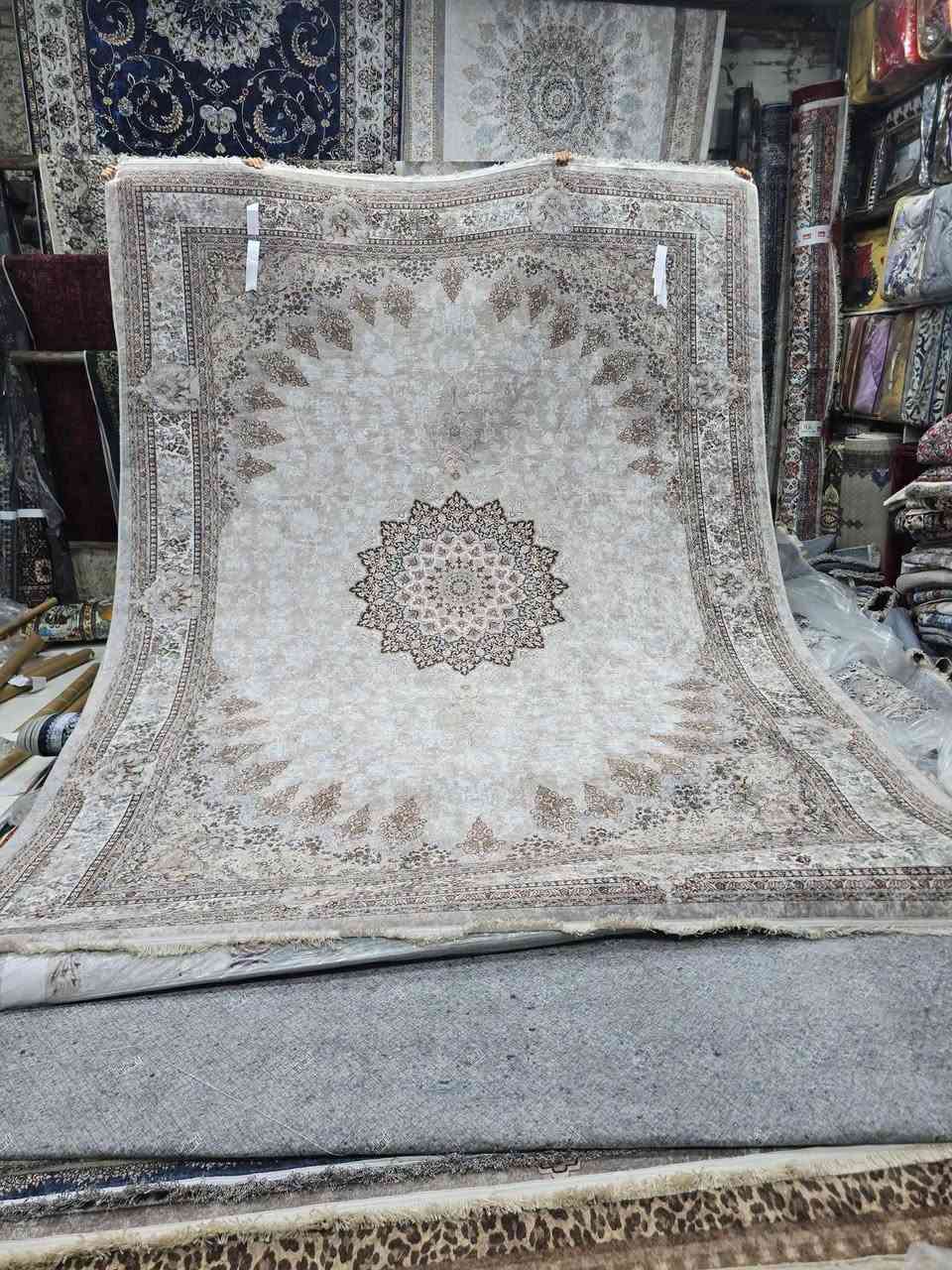 زولية برنت • تركي أصلي • ٣×٤