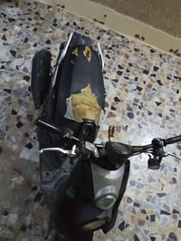 جبلي • دبل • كفراته تعبانه