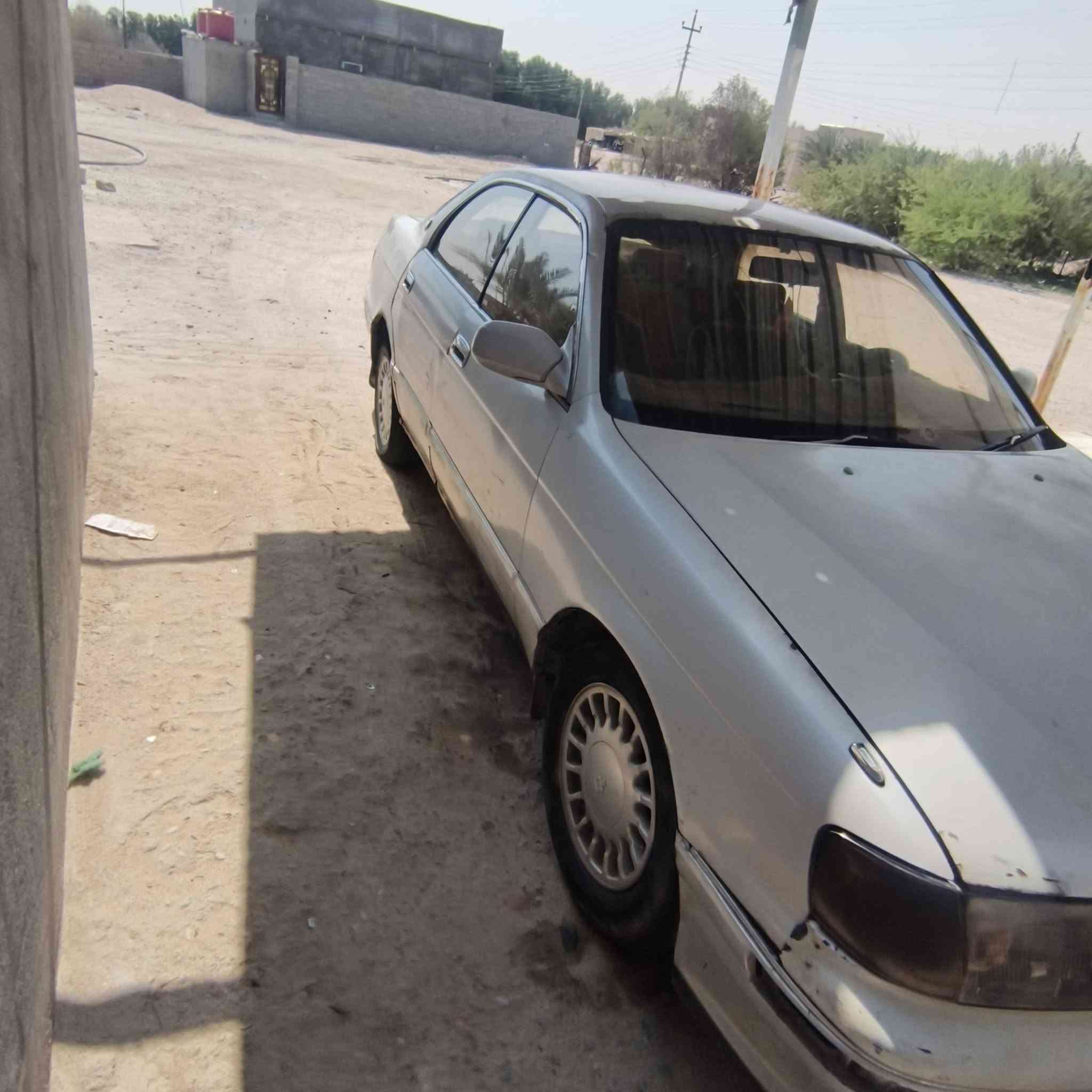 بطة • مكفولة • نقل جثة