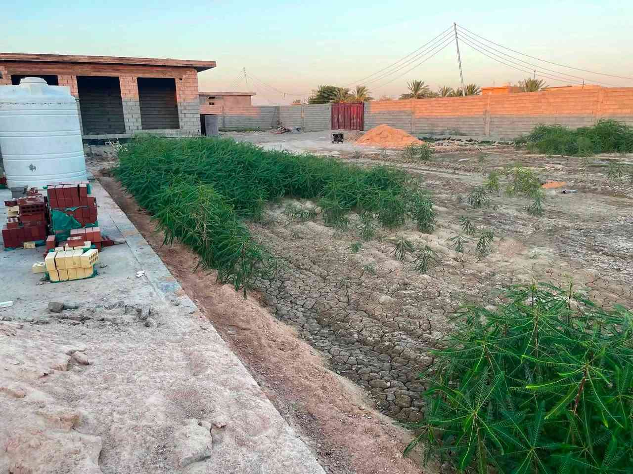 مزرعة قيد الأنشاء للبيع في منطقة الشهابي خلف مستوصف طبي الشهابي المساحة دونمين
تحتوي على بيت هيكل متكون من غرفتين وحمامات وصالة ومطبخ وجلسة معزولة وحمامات خارجية وتحتوي على باربيكيو للشوي كهرباء واصل وماء اساله وتحتوي على بير للسقي
للأستفسار التواصل عبر الرقم ***********
