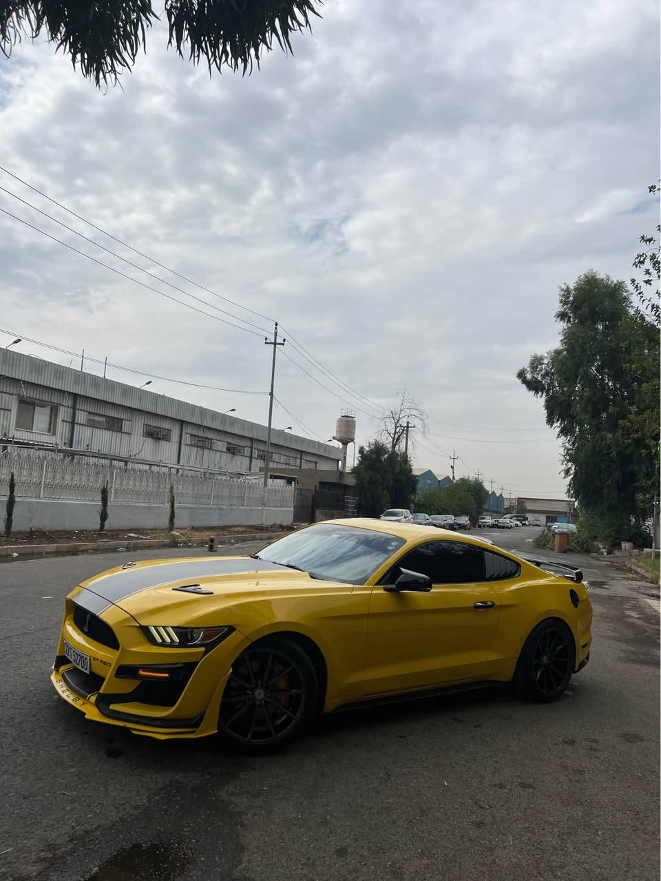 موستانغ ايكو بوست • ٢٠١٧ • أربيل