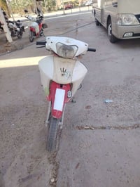 سرفيز • جوزة عاطلة • كسر بالدرع