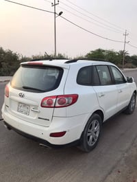 سنتاڤيا ٢٠١٢ • ٧ راكب • وارد خليجي