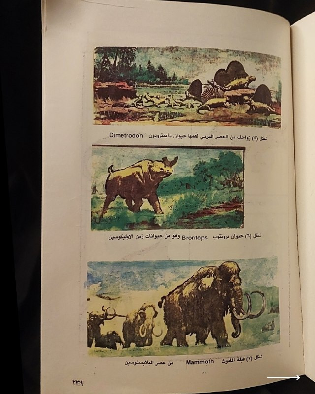 📚
تحفة علمية وجيولوجية نادرة من الإصدارات العراقية
🏛️
!
كتاب «الجيولوجيا للجميع»
✍️
المؤلف: عادل حاتم جوزي
🏛️
مكان النشر: بغداد (رقم الإيداع في المكتبة الوطنية - بغداد 1223 لسنة 1980)
📅
سنة الطباعة: 1980
✨
عن الكتاب:
مرجع تبسيطي وأكاديمي شائق في علوم الأرض والجيولوجيا والحيوانات القديمة، يقدم شرحاً تفصيلياً لطبقات الأرض، الحفريات، وتطور الكائنات الحية والديناصورات والأحافير عبر العصور الجيولوجية بأسلوب علمي مدعم بالرسوم التوضيحية واللوحات الملونة. يُعد الكتاب كنزاً حقيقياً لطلبة علوم الأرض، الأحياء، والمهتمين بالاستكشاف والكتب العلمية التراثية النادرة.
📌
حالة النسخة: أصيلة (طبعة بغداد عام 1980)، وتتميز باحتوائها على ملحق كامل من الرسوم التوضيحية واللوحات الملونة التوضيحية للأحافير والديناصورات والإنسان القديم، ومحفوظة بحالة ممتازة جداً لمقتنين الكتب التراثية.
🔷
السعر: 15 ألف دينار عراقي
📜
🚚
يتوفر توصيل لكافة المحافظات.
للإستفسار والحجز
🔻
:
البوت:
@PH_900bot
أو واتساب: ***********
