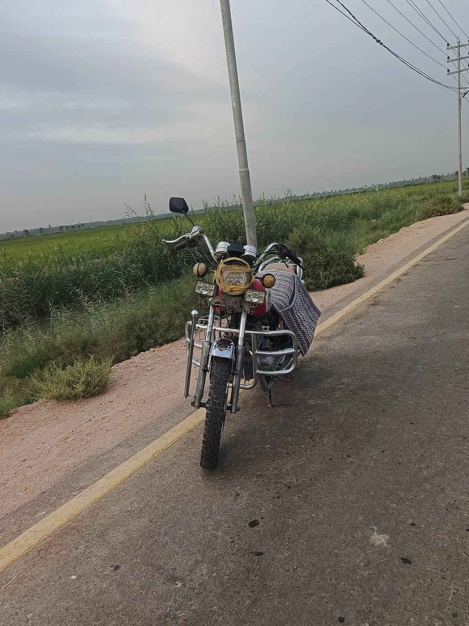 جونده • اوراق اصوليه • سلف