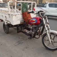 ستوته • مديل ١٥ • بدون اوراق