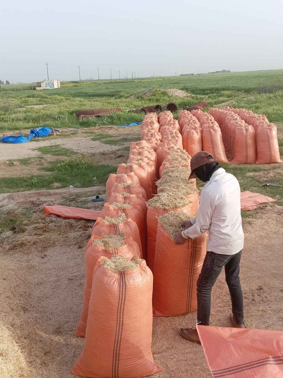 السلام عليكم تبن للبيع حجم الكيس أبو 65 سعر الزوج مطروح بالمكان 3500 ويوجد خدمه توصيل محافظات صلاح الدين بغداد الأنبار ديالى   التواصل مراسلة الصفحه على المازنجر أو الواتساب أو الاتصال على الرقم  ***********   ***********
