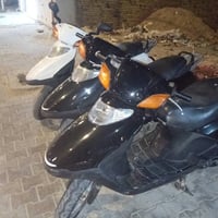 سبيسي • ياباني • للبيع
