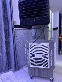 مبرده • استعمال اسبوع