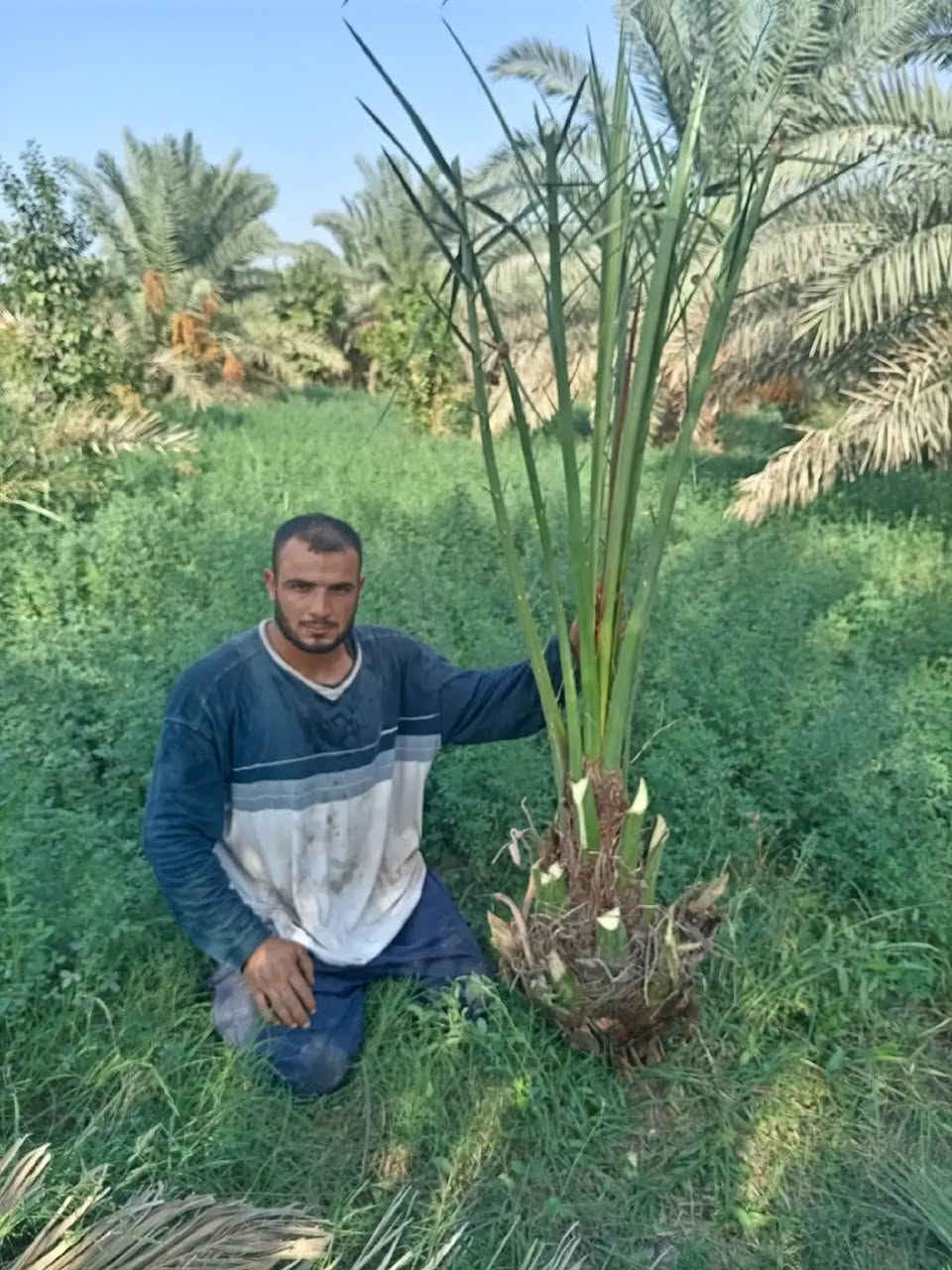 للسفسار اتصل على رقم تالي *********** أو ***********
