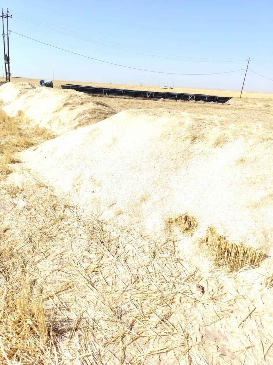 السلام عليكم يوجد تبن للبيع شلفان السعر ٣٠٠٠ الشليف واصل البيت ومال الحنطه مال السنه شرط نضيف القياس الشليف عرض ابو ٧٠ ارتفاع ١١٠ ويوجد خدمة توصيل والاستفسار *********** *********** /وملاحضه يوجد تبن عرباين دبل الكميه خير من الله /وشرط نضيف وناعم مال السنه /المكان قضاء الشرقاط قرية شاطي الجدر
