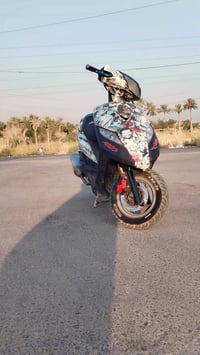 ثعلب • للبيع