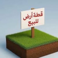 الزمبرانية الدورة • ١٠٠م • مراوس بسيارة