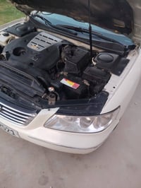 ازيره/مراوس • مكينه 3300 • بابل الحمزه