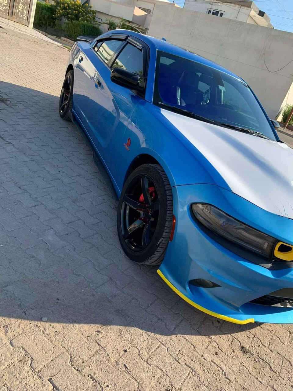 جارجر GT • فول فول • رقم سليمانيه