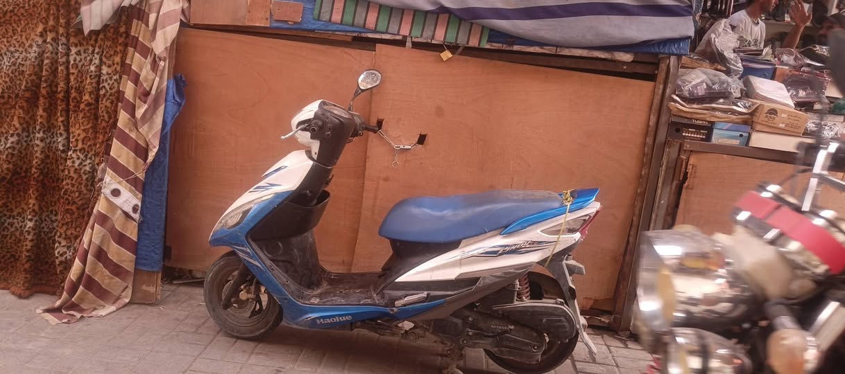 هاوجي • نضيف • فحص