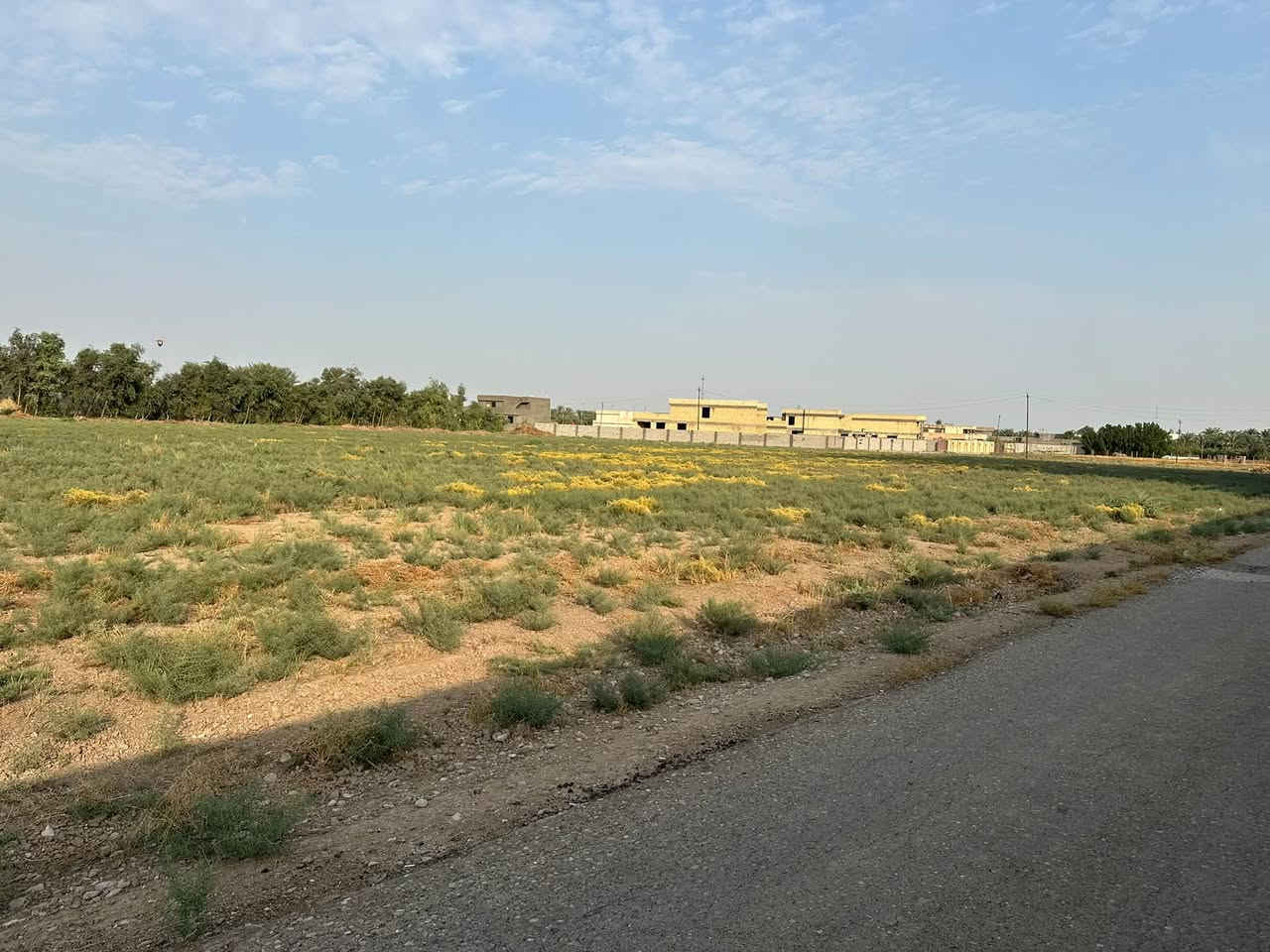 ١-٤ دوانم • سند ٢٥ • ناحية الرشيد