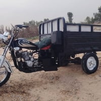 ستوته • أوراق • كفاله