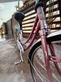 بايسكل • نضيف • رايدا ١١٠ بي