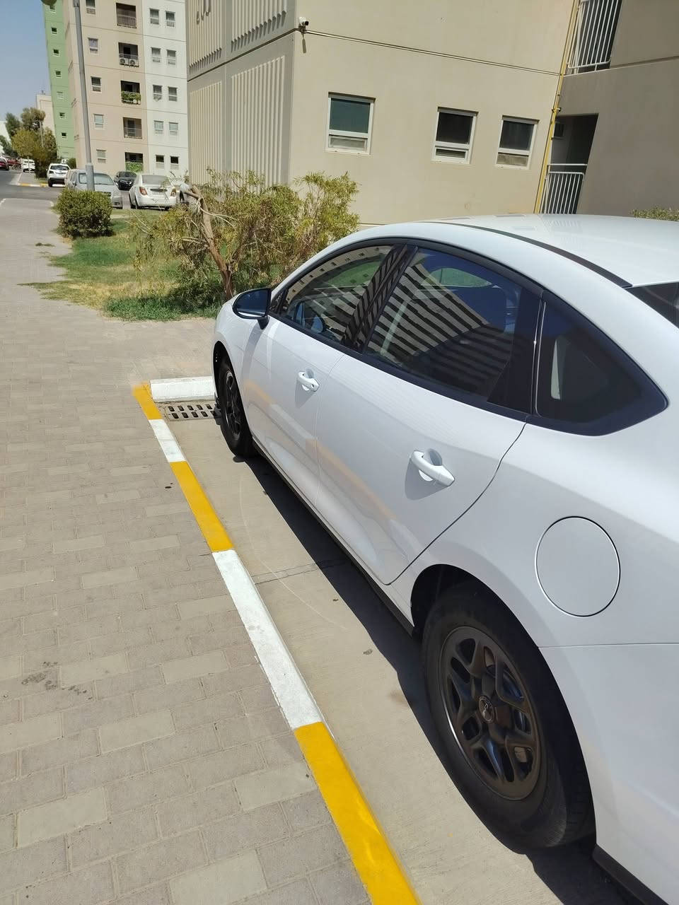 سلام عليكم سيل5 بعدها علا وظع شركة ماشية6000الاف بسمي رقم بغداد مكفولة كفالة عامة ماعدا شوية بارد ومسويpDR ودوشمة وكاعيات سعر19 وبيها مجال عنواني شقق بسماية***********
